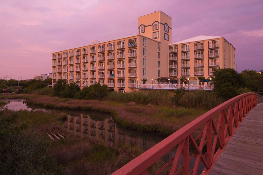 Coconut Malorie Resort Hotel, Ascend Hotel Collection Ocean City Exterior foto